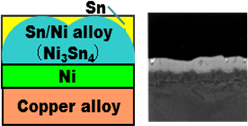 Ni / Sn Plating