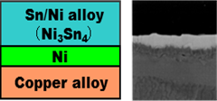 Ni / Sn Plating